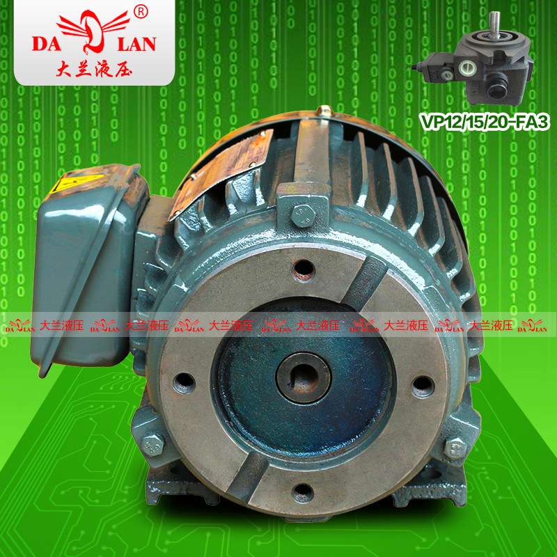 台湾S.Y群策4孔VP20液压电机 1/2HP油泵专用马达CB2-43B0-0.37KW