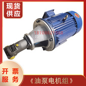 油泵电机组VP20叶片泵总成液压站专用配件4 22kw内轴380v三相