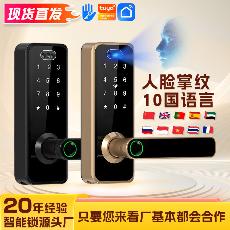 欧美式人脸掌纹单舌智能指纹锁跨境小锁木门密码锁通通锁涂鸦APP