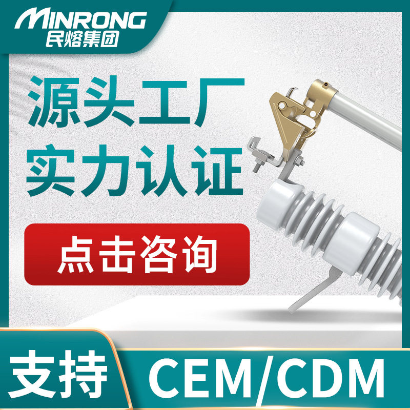 民熔10kv户外高压跌落式熔断器RW12/100A柱上令克开关保险丝200a