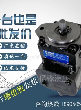 丹尼逊Denison叶片泵T7D/T7DS-B14/17/20/22/24/28/31-1R00-A1M0