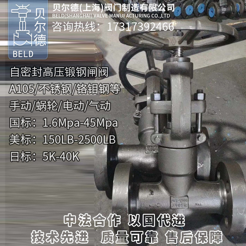 A105锻钢高温高压自密封闸阀/Z41Y-160C/250C-450C/CL2500/1500LB