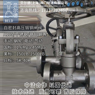 Z41Y CL2500 160C 450C 1500LB 250C A105锻钢高温高压自密封闸阀