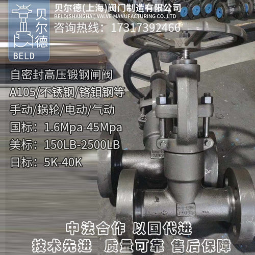 A105锻钢高温高压自密封闸阀/Z41Y-160C/250C-450C/CL2500/1500LB