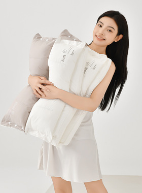 2024新款S.H双层可脱卸牵引枕枕头枕芯