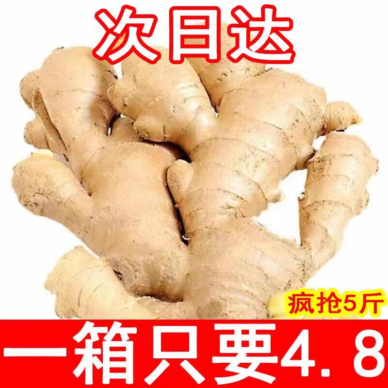 新鲜老姜正宗生姜5/9斤现挖云南高山小黄姜月子农家整箱包邮蔬菜