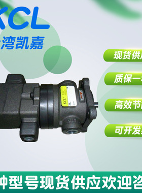 台湾凯嘉KCL HVQ20-8-F-RAA-01 注塑机 压铸机液压泵总成小型