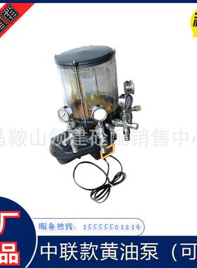 润滑泵中联柱塞三一仕高玛电动黄油泵油脂浓油泵搅拌站配件