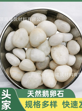 广东海南广西精抛光天然鹅卵石白色石头雨花石