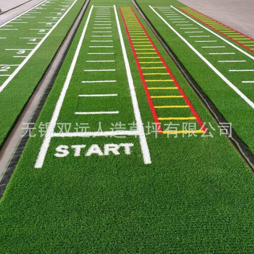 幼儿园图案草坪  十二生肖草坪  仿真草坪  人工假草皮