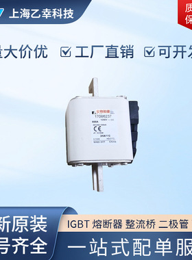 巴斯曼熔断器  170M6362 170M6363 170M6364 170M6365 170M6366