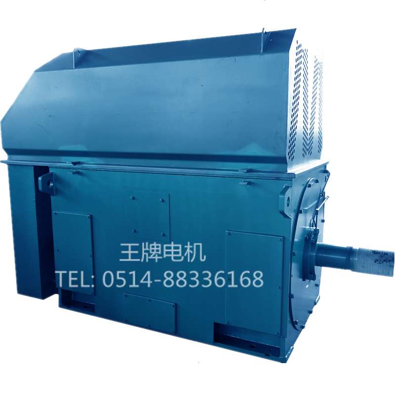 直销高压电机YRKS8007-6 3150KW 10000V  1000rpm
