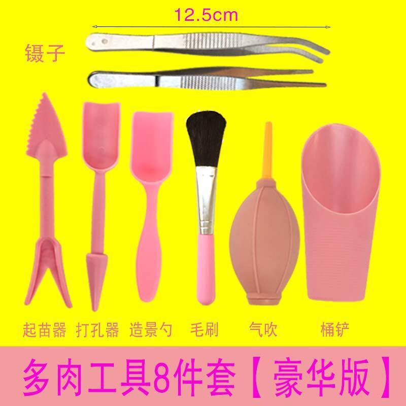 家用迷你园艺工具组合镊子铲子多肉植物养护盆栽养花器具