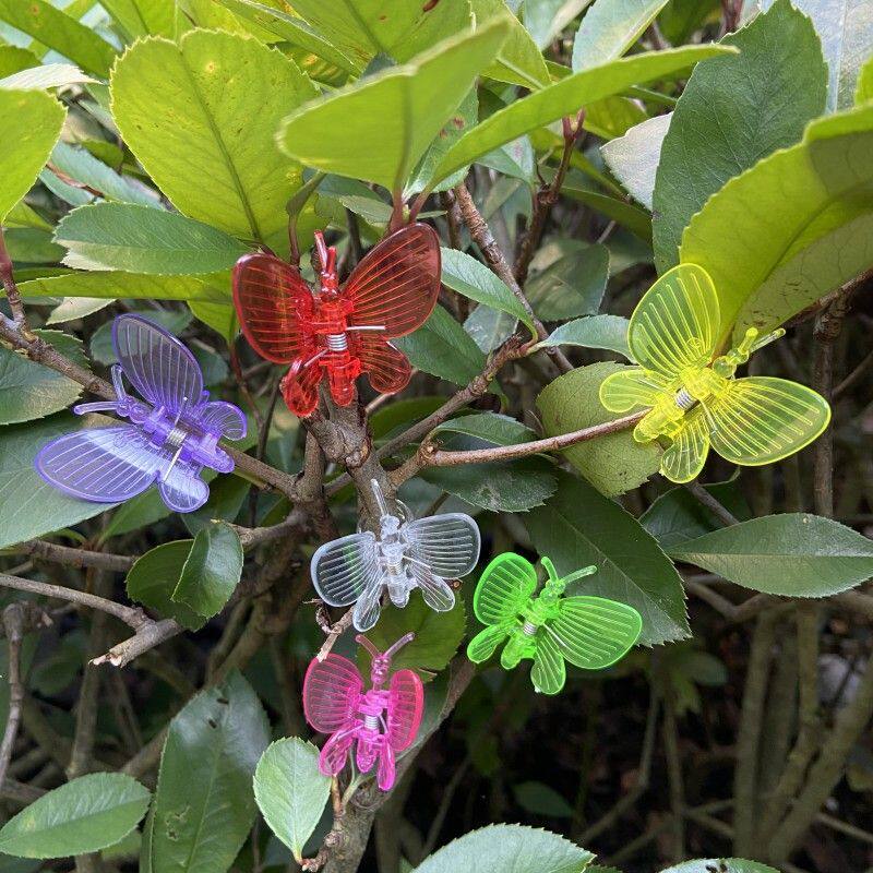 蝴蝶造型塑料植物固定夹兰花蝴蝶兰园艺夹持发夹专用件