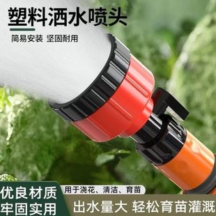 花洒喷头浇花苗浇 洒农用园林地水菜2000浇浇目6分育水4雾化水枪