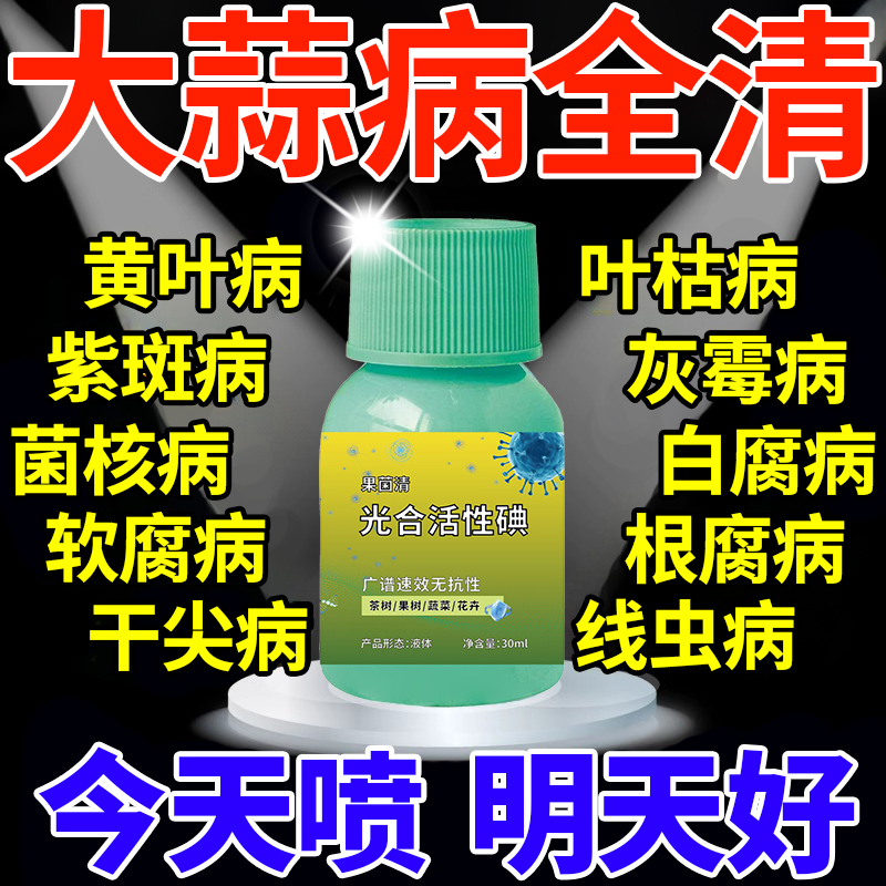 大蒜黄叶病专用药叶枯干尖灵根腐病紫斑病防治果菌清一喷绿叶面肥