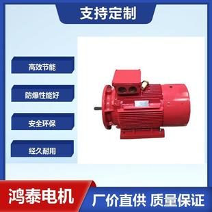 鸿泰一级能效粉尘防爆电机tYFB5 2t3KWt380Vt耐高温耐高压 100L