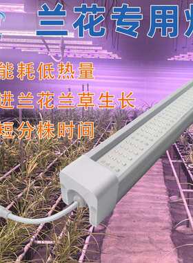 兰花专用灯兰草专用灯植物生长灯LED植物补光灯防水灯管一百瓦