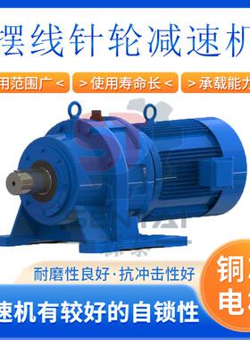 卧式立式行星摆线针轮减速机BWDXLD变速机涡轮蜗杆减速机铜芯电机