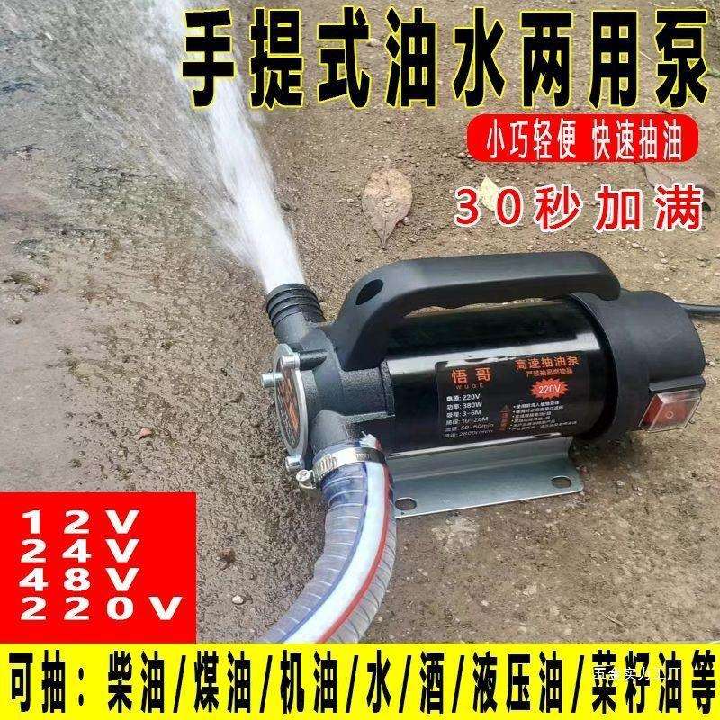 电动抽油抽水两用泵12V24V220V便携手提抽柴油自吸泵正反转大功率