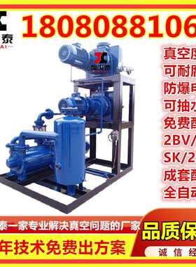防爆真空设备石油化工行业JZJS罗茨泵水环式罗茨水环真空机组