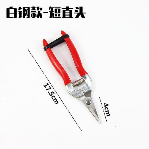 桔子葡萄剪枝剪刀修枝摘水果采果蔬果修花摘果器家用果树工具神器