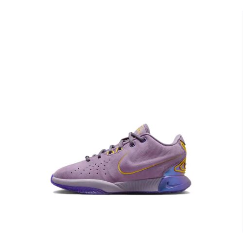 Nike Lebron 21 防滑减震 低帮篮球鞋紫尘FZ7189-500[WF]