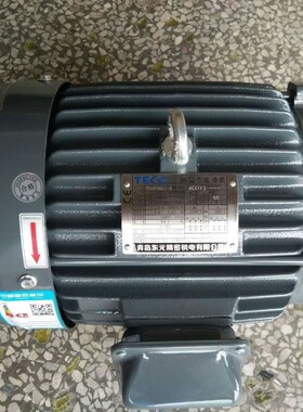 东元电机TEGH100L1-4 3HP 2.2KW 1455r/min 220V/380V AEEFF3