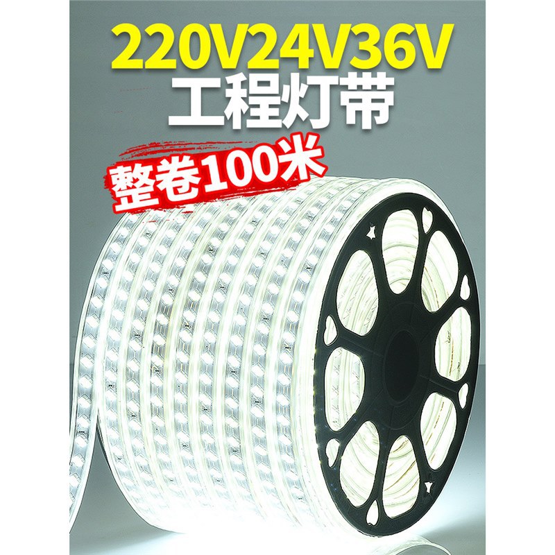 LED灯带220v户外防水地下室隧道工地亮化装饰照明白光灯条24V36V