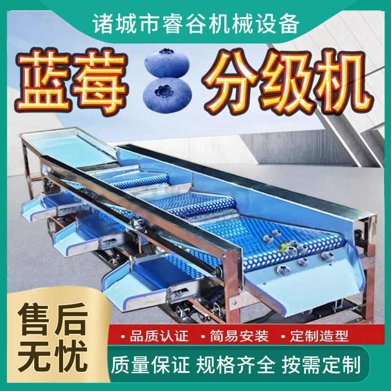 杨梅孔带分级筛选机蓝莓分选设备油甘果多品类圆形果蔬大小分级机