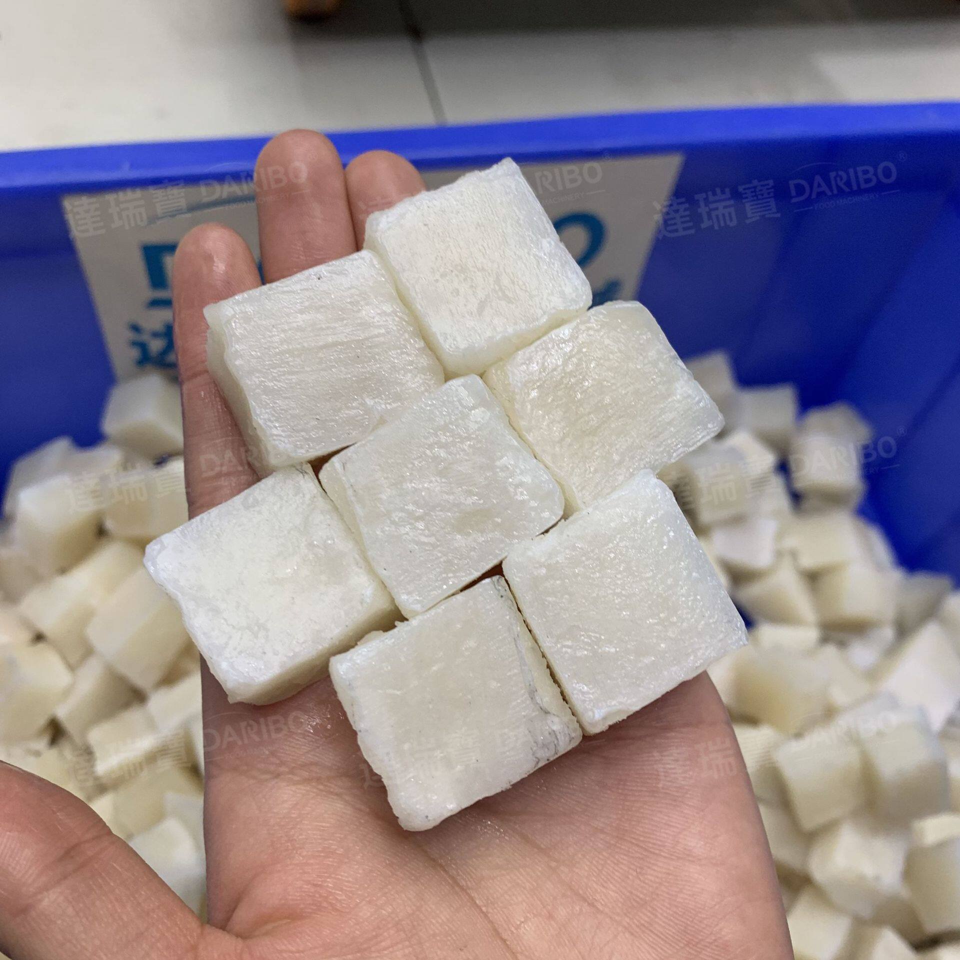 W 鱿鱼筒鱿鱼板切块机 海蜇块鳕鱼片切块机 冻鲤鱼冻青鱼切块机