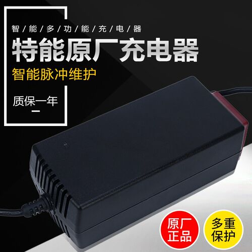 特能充电器原装智能48V12AH20AH60V72伏适用新日爱玛雅迪三轮车