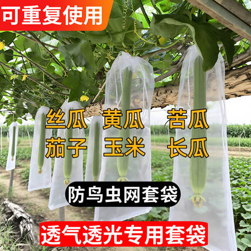 苦瓜套袋无纺布丝瓜防虫专用青黄瓜果水瓜网透气果蝇针蜂葡萄加长