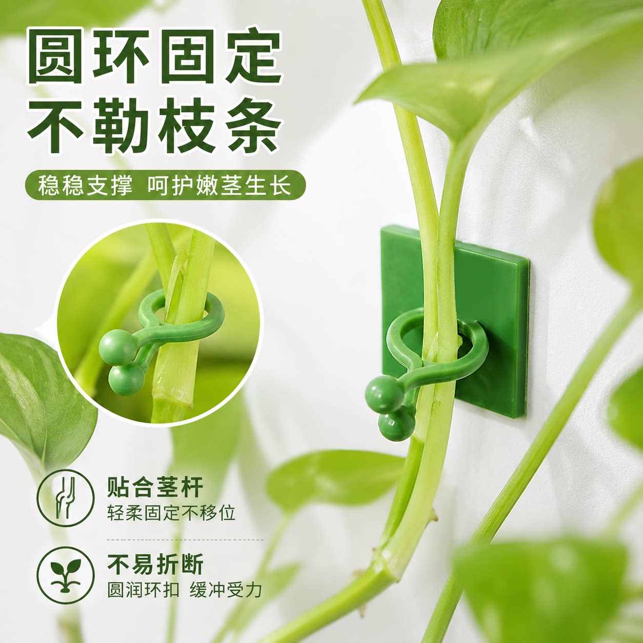绿萝爬墙固定器绿植爬墙神器夹子墙上无痕挂钩粘爬藤杆子绿植攀爬