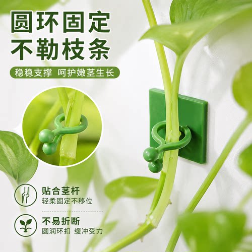 绿萝爬墙固定器绿植爬墙神器夹子墙上无痕挂钩粘爬藤杆子绿植攀爬