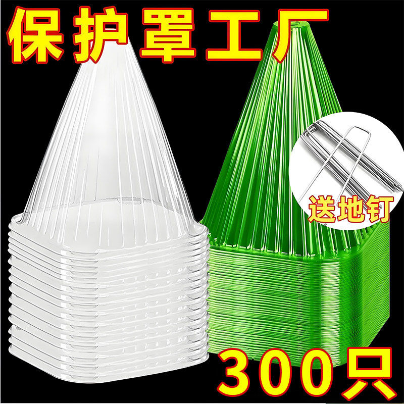 育苗保护罩加厚幼苗植物钟罩大棚菜苗霜冻大号保护防虫育苗防护罩