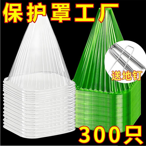 育苗保护罩加厚幼苗植物钟罩大棚菜苗霜冻大号保护防虫育苗防护罩