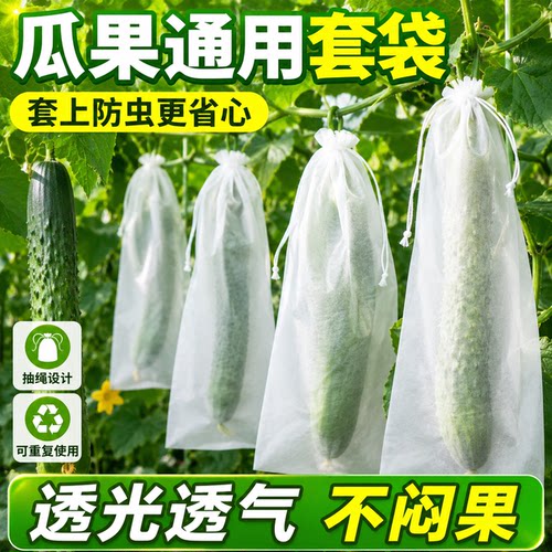 蔬果防虫保护套袋通用