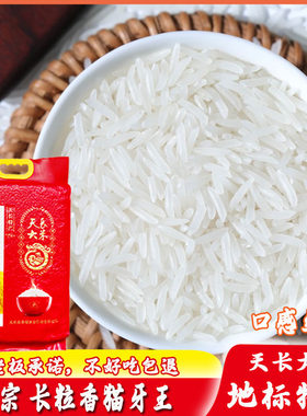 精品猫牙王（7-8毫米）天长大米猫牙长粒香米煲仔饭专用扬州炒饭