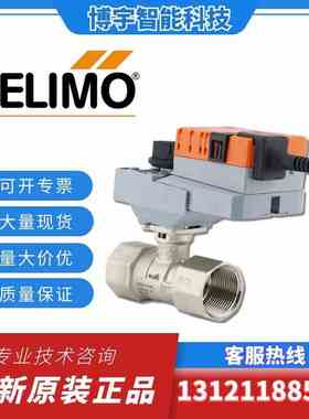 搏力谋NR/LR/24A-SR/230A/24A/-S球阀执行器R2015/20/25/32/40/50