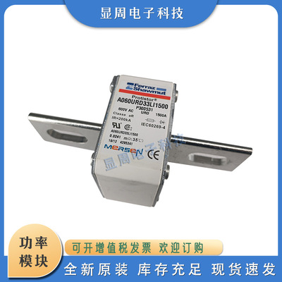 全新保险丝熔断器A060UD32LI1250 C301072 A065UD33LI1600G301076