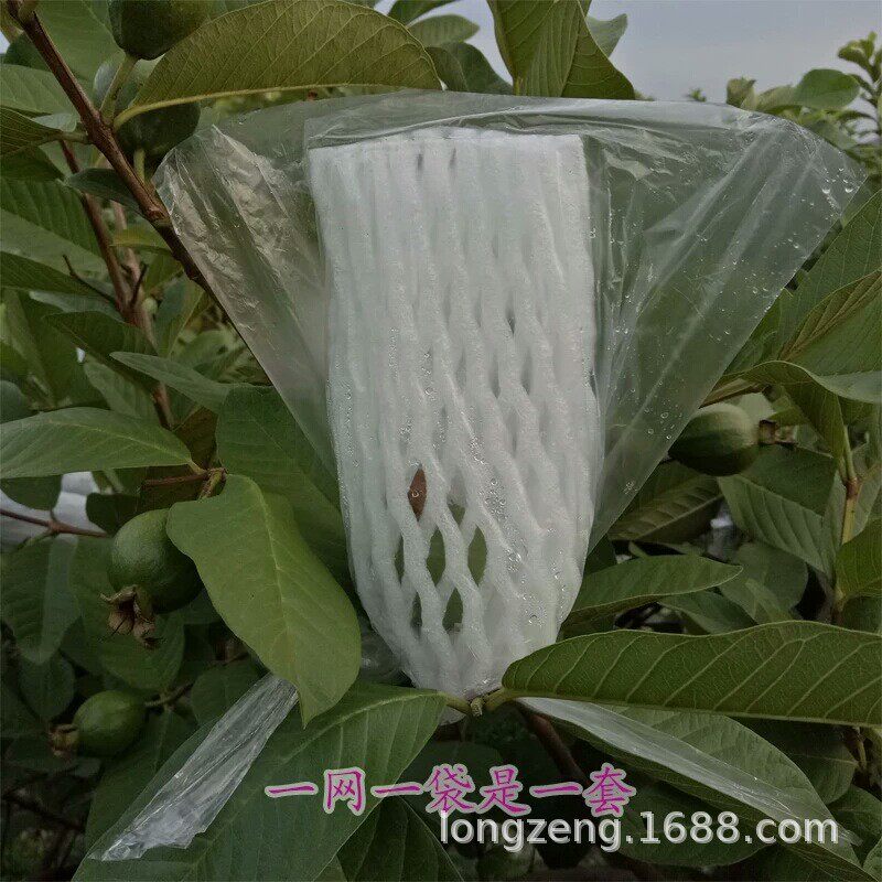 美曾番石榴套袋水蜜桃水果网套一体套袋有耳型防虫防鸟泡沫网胶袋