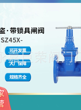 南高供应 地埋式加长杆闸阀法兰连接软密封闸阀SZ45X-10Q