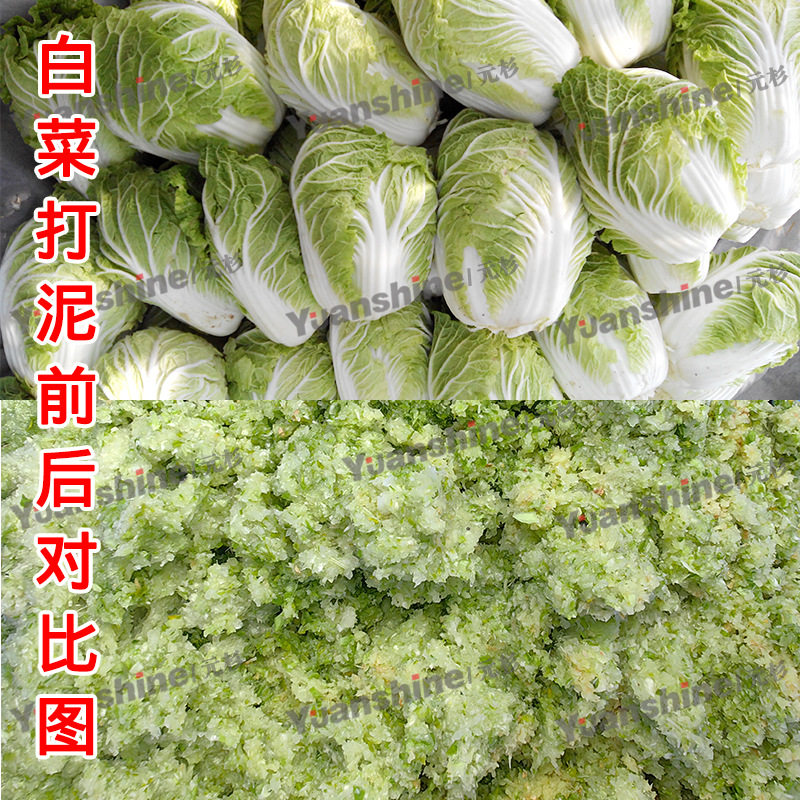 厂家现货台湾果蔬打碎机 芒果枣泥打泥机 鸭蛋黄打碎机