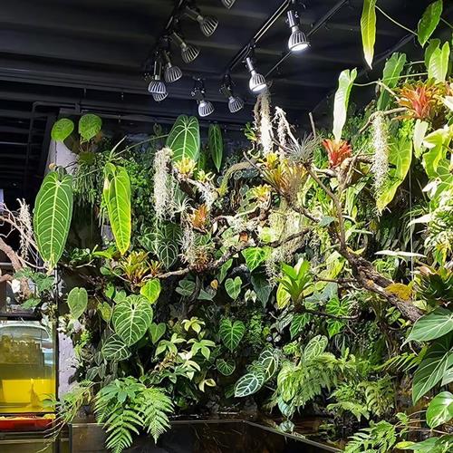 植物补光灯全光谱自然光室内大型景观植物墙led轨道射灯