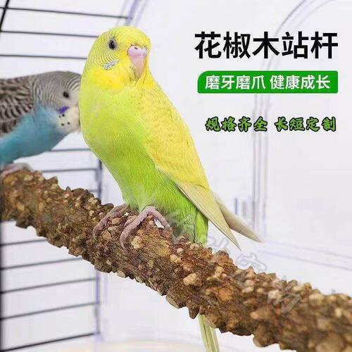 鹦鹉花椒原木站杆磨爪棒树枝站棍鹦鹉站架原木鸟玩具用品鹦鹉站棒