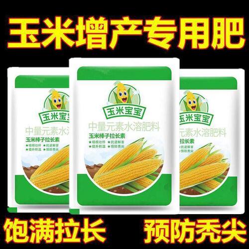 玉米玉米专用籽粒饱满生根壮苗抗倒叶面支持