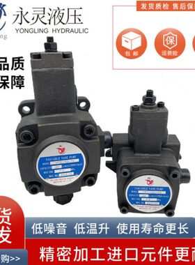 2035永灵 212//VL70/3015 变浙江/55VC叶片泵-//140-/PY20量-P