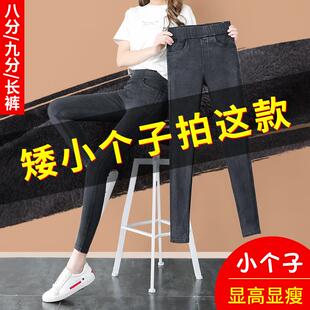小个子八分仿牛仔打底裤女外穿加厚松紧小脚铅笔魔术九分秋冬加绒