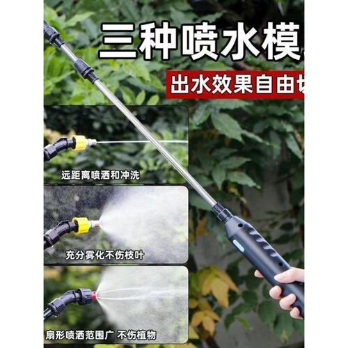充电式电动喷壶洗车抽水浇花洒水喷雾器园艺水枪喷枪消毒打药家用